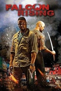 Download Falcon Rising (2014) Dual Audio (Hindi-English) 480p [300MB] || 720p [950MB]