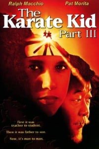 Download The Karate Kid Part III (1989) Dual Audio {Hindi-English} 720p [800MB]