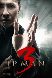 Download Ip Man 3 (2015) Dual Audio {Hindi- Chinese} BluRay 480p [400MB] || 720p [900MB] || 1080p [2.1GB]