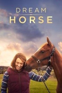 Download Dream Horse (2020) BLURAY Dual Audio Hindi ORG 480p [400MB] || 720p [1.2GB] Esubs