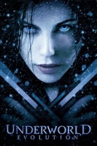 Download Underworld: Evolution (2006) Dual Audio {Hindi-English} 480p [300MB] || 720p [1GB]