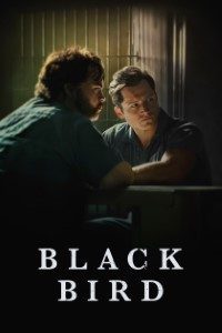 Download AppleTv+ Black Bird Season 1 2022 [S01E03 Added] {English With Subtitles} WeB-HD 720p [250MB]