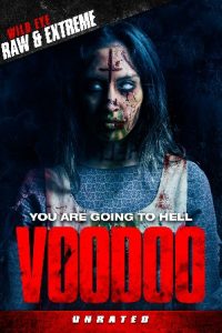 Download VooDoo (2017) WEB-DL Dual Audio {Hindi-English} 480p [300MB] | 720p [850MB] | 1080p [1.7GB]