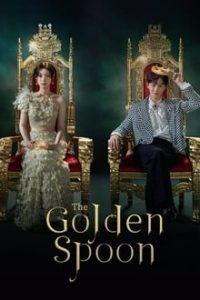 Download The Golden Spoon (Season 1) Kdrama Dual Audio (Hindi-Korean) WeB-DL 480p [250MB] || 720p [700MB] || 1080p [1.8GB]