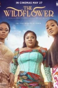 Download The Wildflower (2022) {English With Subtitles} 480p [300MB] || 720p [850MB] || 1080p [1.92GB]