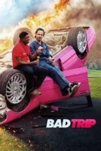 Download Bad Trip (2021) Dual Audio {Hindi-English} WeB-DL 480p [342MB] || 720p [952MB] || 1080p [3.5GB]